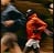 Aperçu website_animation.gif